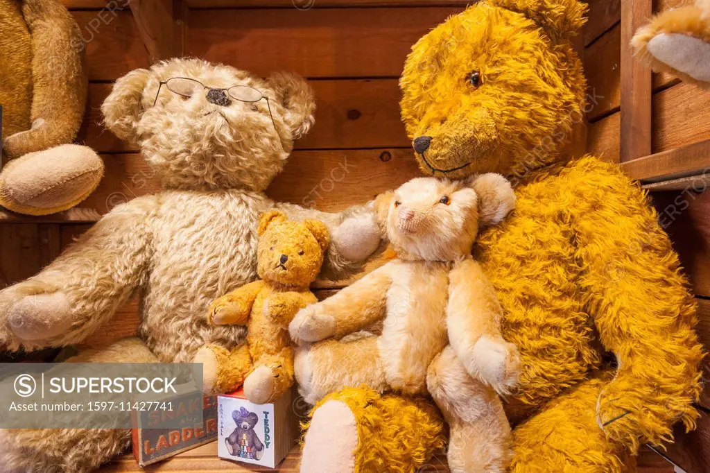 England, Dorset, Dorchester, Teddy Bear Museum, Display of Teddy Bears