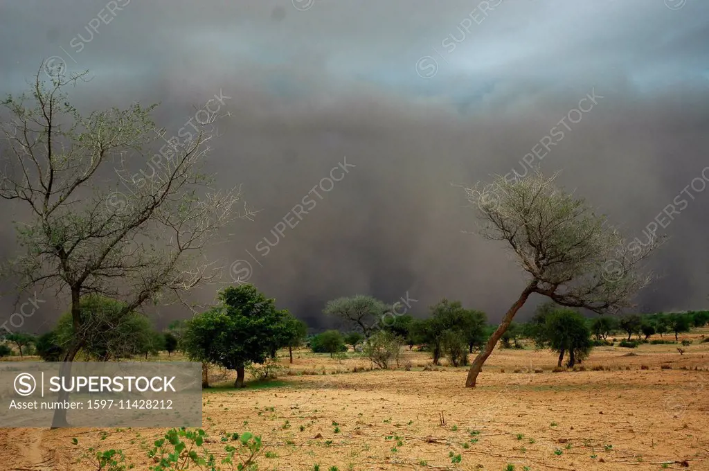 Niger, Africa, Sahel, storm, thunderstorm, sand, Zinder, sand storm
