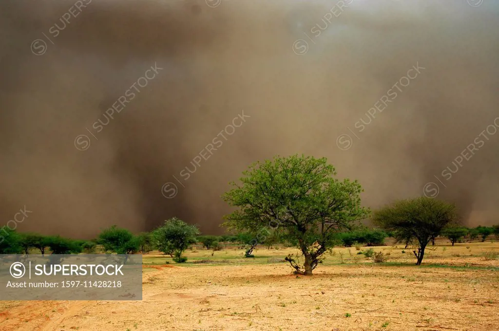 Niger, Africa, Sahel, storm, thunderstorm, sand, Zinder, sand storm, desert, steppe
