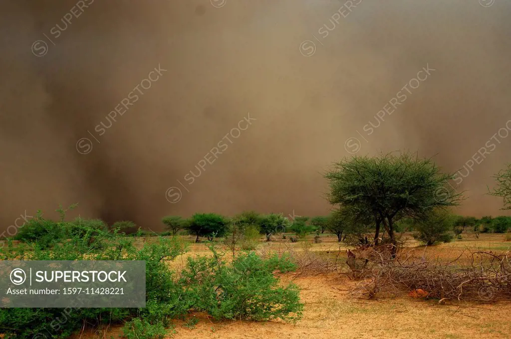Niger, Africa, Sahel, storm, thunderstorm, sand, Zinder, sand storm, desert, steppe