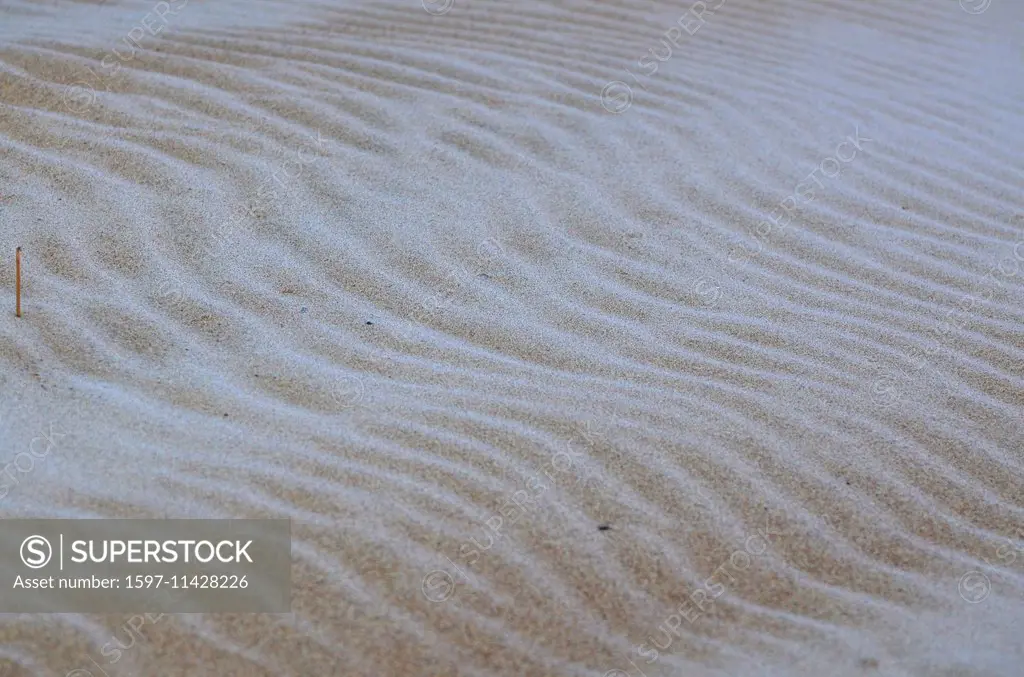 Sand, frost, winter, Sweden, Europe, west coast, dune