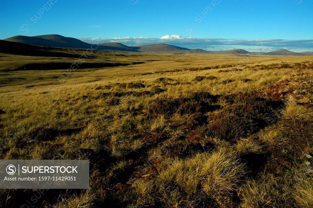 The Falklands, Falkland, South America, west falkland, horizon, skyline, steppe, evening, mountains, grass
