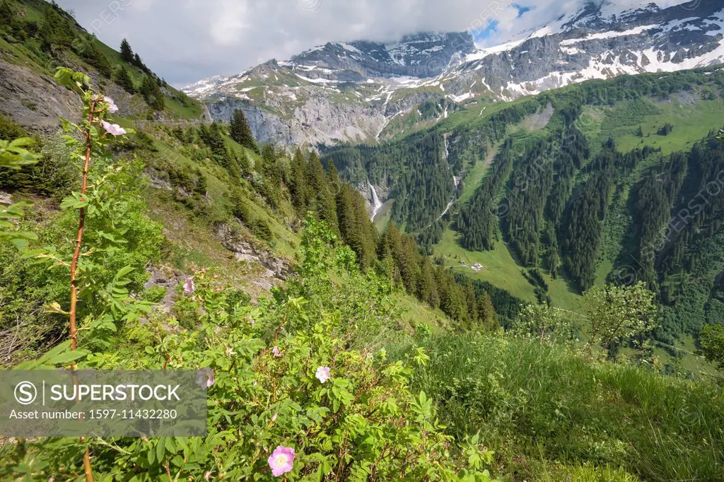 Klausen pass, Switzerland, Europe, canton, Uri, mountain pass