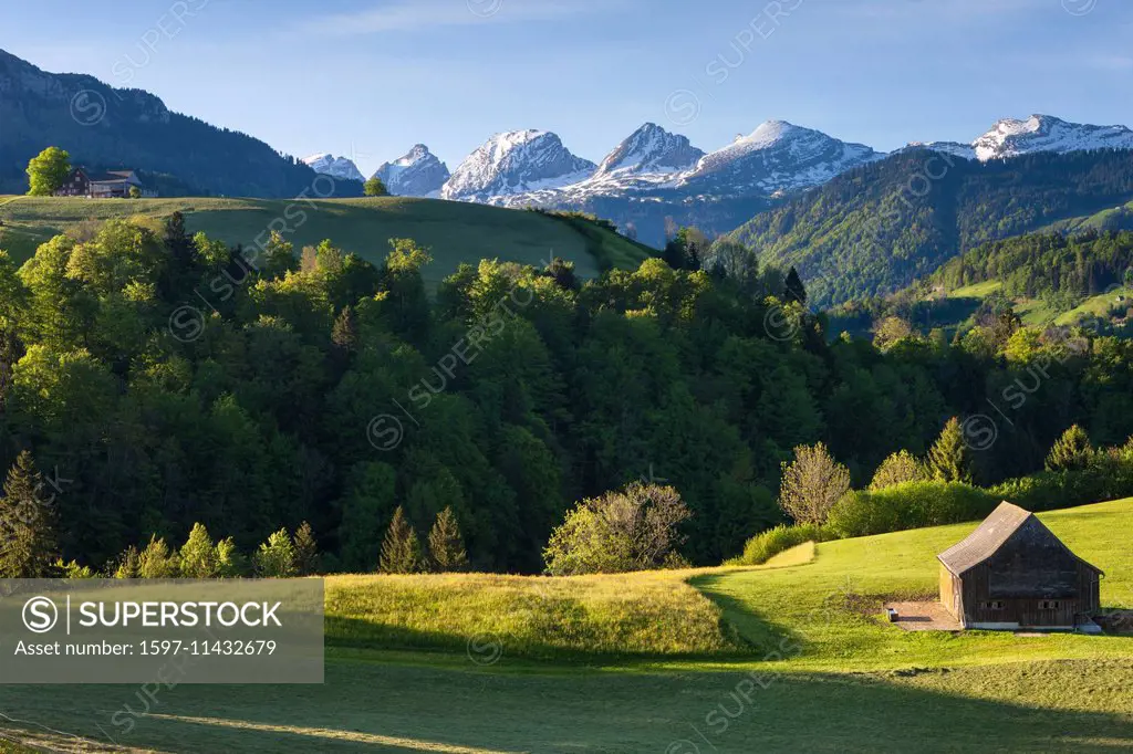 Neu St. Johann, Switzerland, Europe, canton St. Gallen, Toggenburg, mountains, Churfirsten, spring