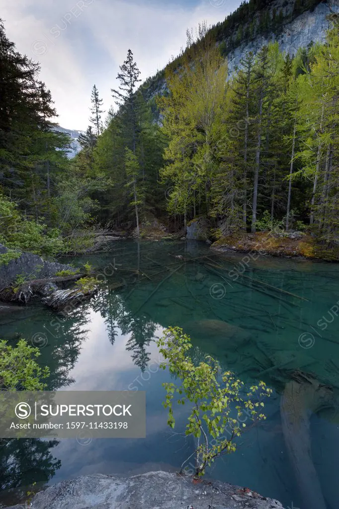 Primeval forest, forest, Derborence, Switzerland, Europe, canton, Valais, mountain lake, lake,