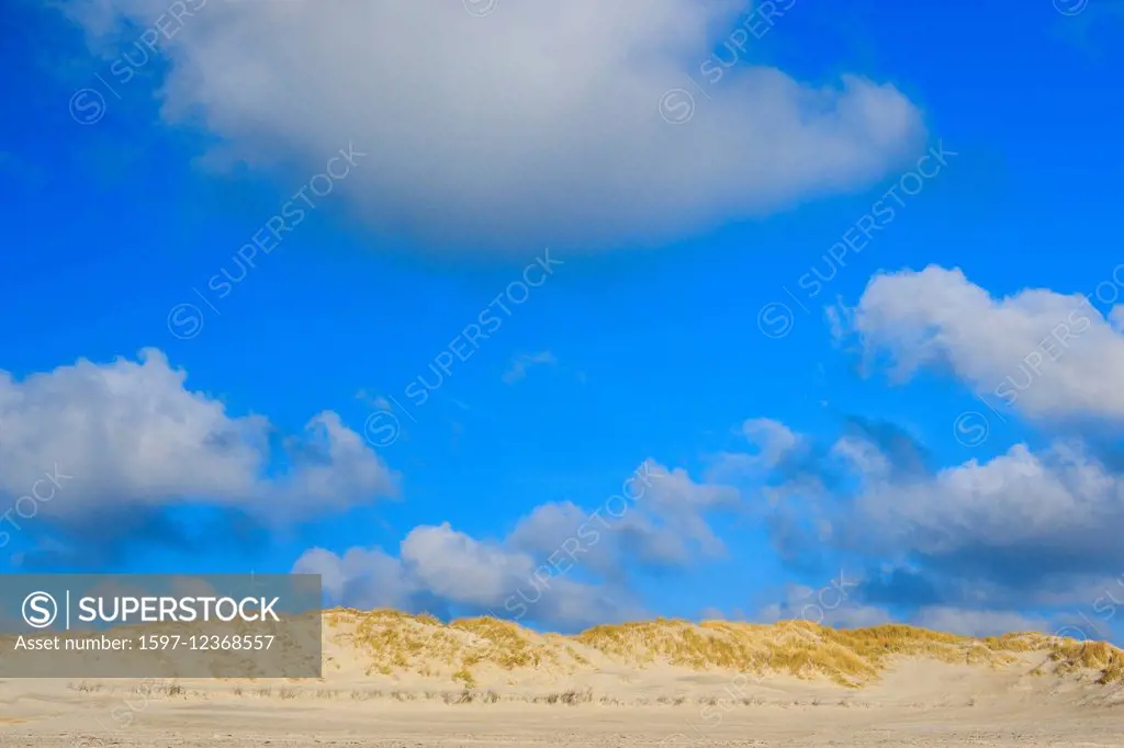 Germany, Europe, dune, dune grass, Helgoland, coast, coastal vegetation, sea, seashore, nature, lesser island, North Sea, beach, seashore, gras,