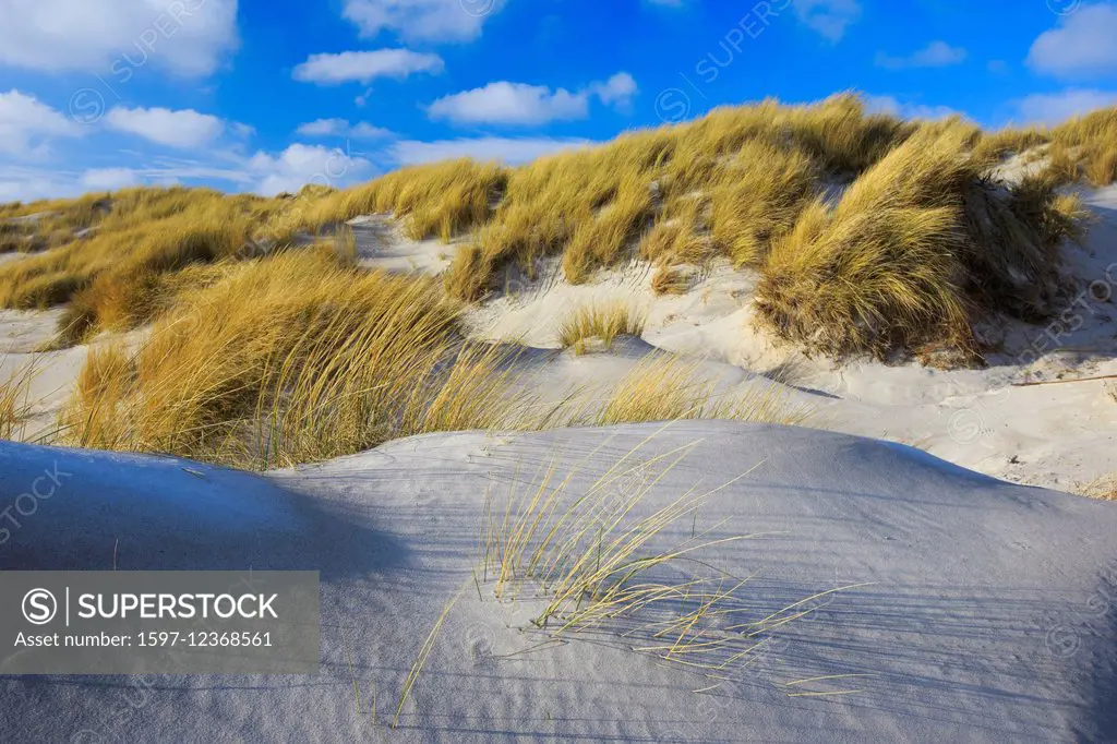 Germany, Europe, dune, dune grass, Helgoland, coast, coastal vegetation, sea, seashore, nature, lesser island, North Sea, beach, seashore, gras,