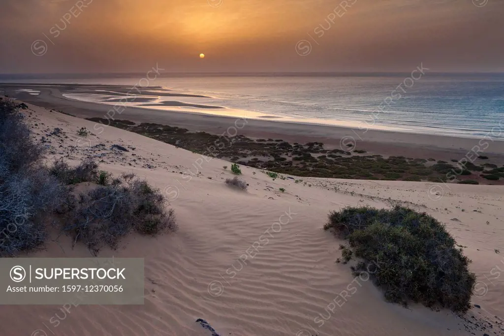 Risco del Paso, Spain, Europe, Canary islands, Fuerteventura, sea, coast, sand, dunes, sand dunes, morning, mood