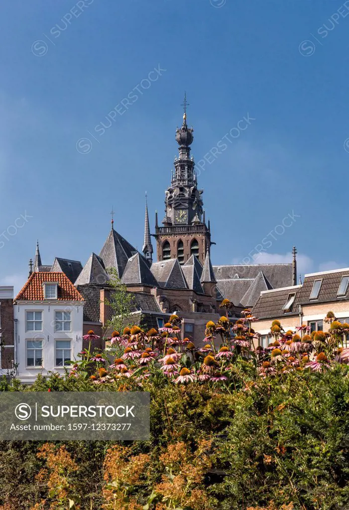 Netherlands, Holland, Europe, Nijmegen, Gelderland, church, Stevens, church, flowers, summer,