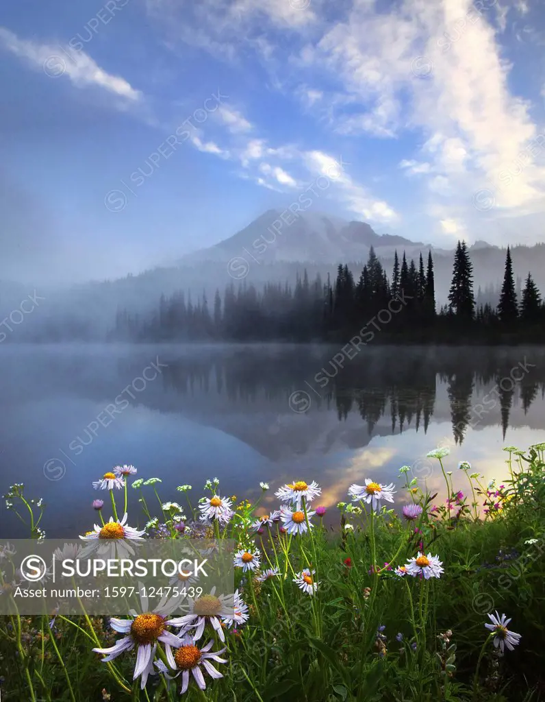 lake in the Mount Rainier National Park in Washington State