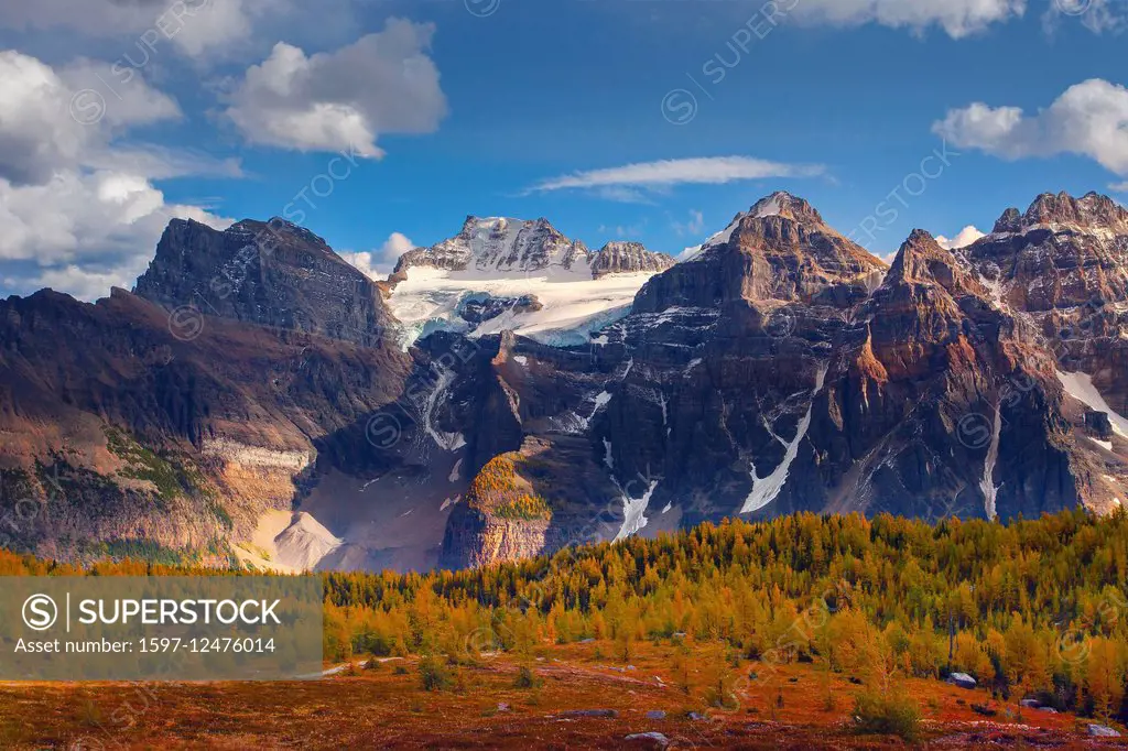 mountain landscape with larch trees in autumn in British Columbia