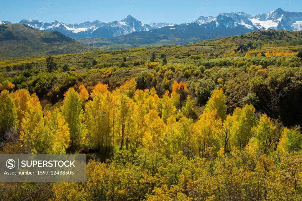 autumn forest and San Juan mountains in Colorado