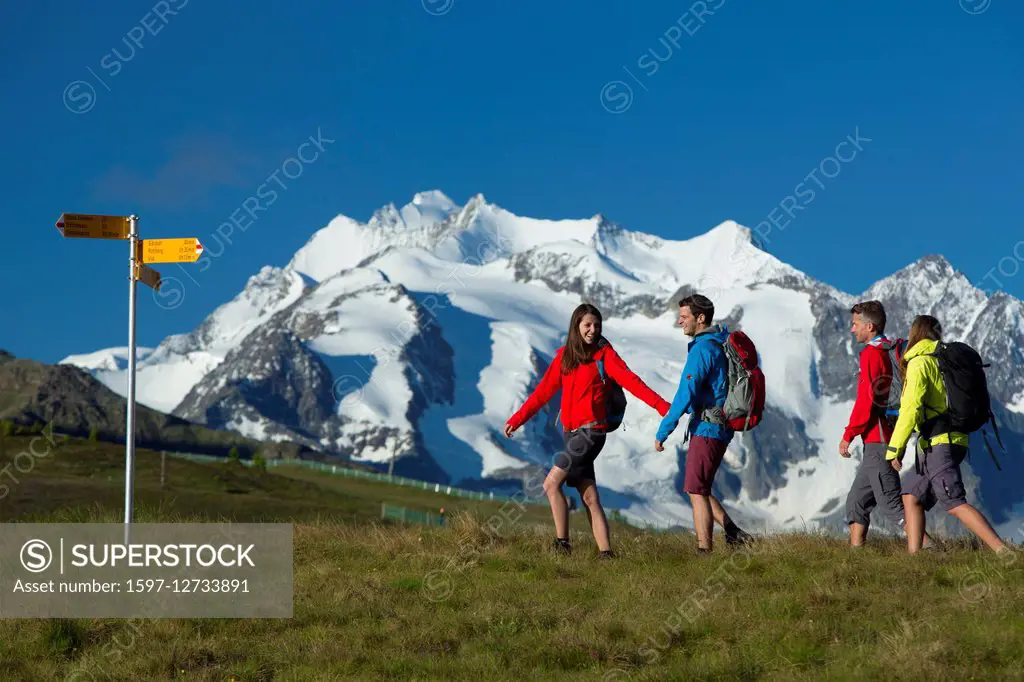 Group hiking near Gibidum in Valais