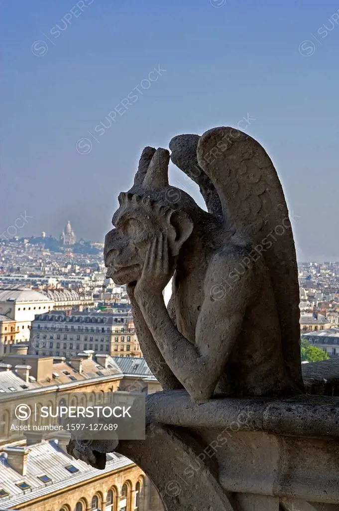 France, Europe, Paris, city, Notre Dame, cathedral, church, Ile de la Cite, overview, overlook, high angle, Gargoyle,