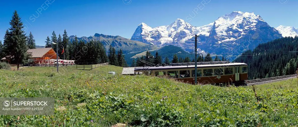 10512886, Switzerland, Europe, canton Bern, Bernese Oberland, mountain road, near Mürren, Winteregg, meadow, scenery, restaurant