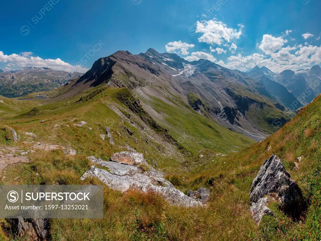 Ferleiten, Austria, Grossglockner High Alpine Road, alpine meadow