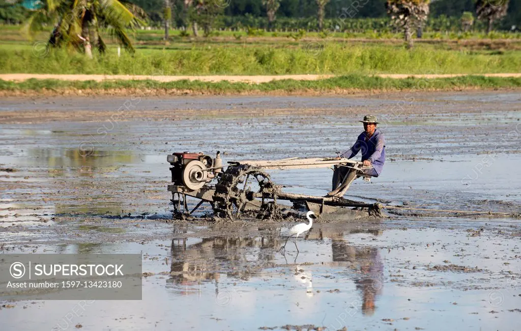 Southern Thailand, Farmer ride rice tractor for preparing the ground for rice plantation