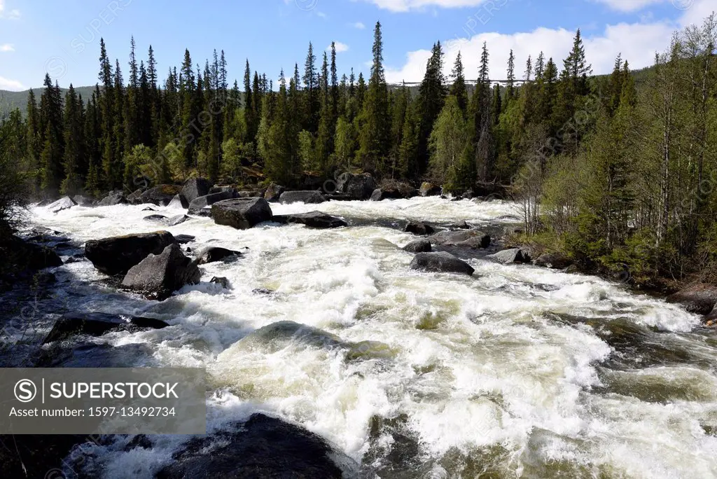 River rapids, Lapland, Sweden