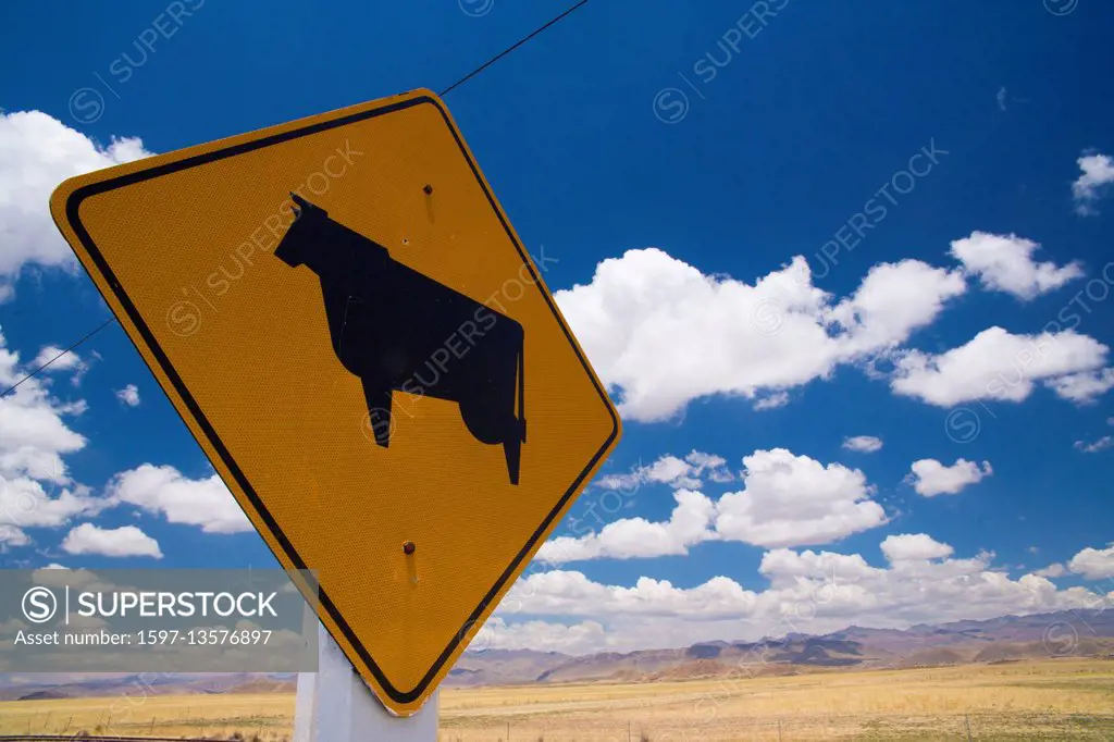 Cattle breeding sign in the Altiplano,