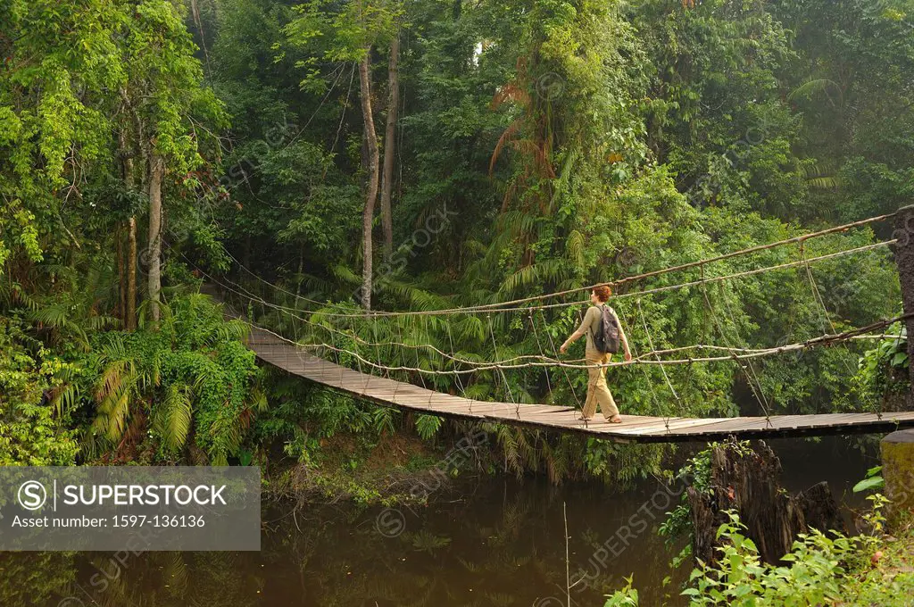 Suspension Bridge, primitive, woman, Creek, Khao Yai, National Park, World Heritage, Site, Thailand, Asia, river