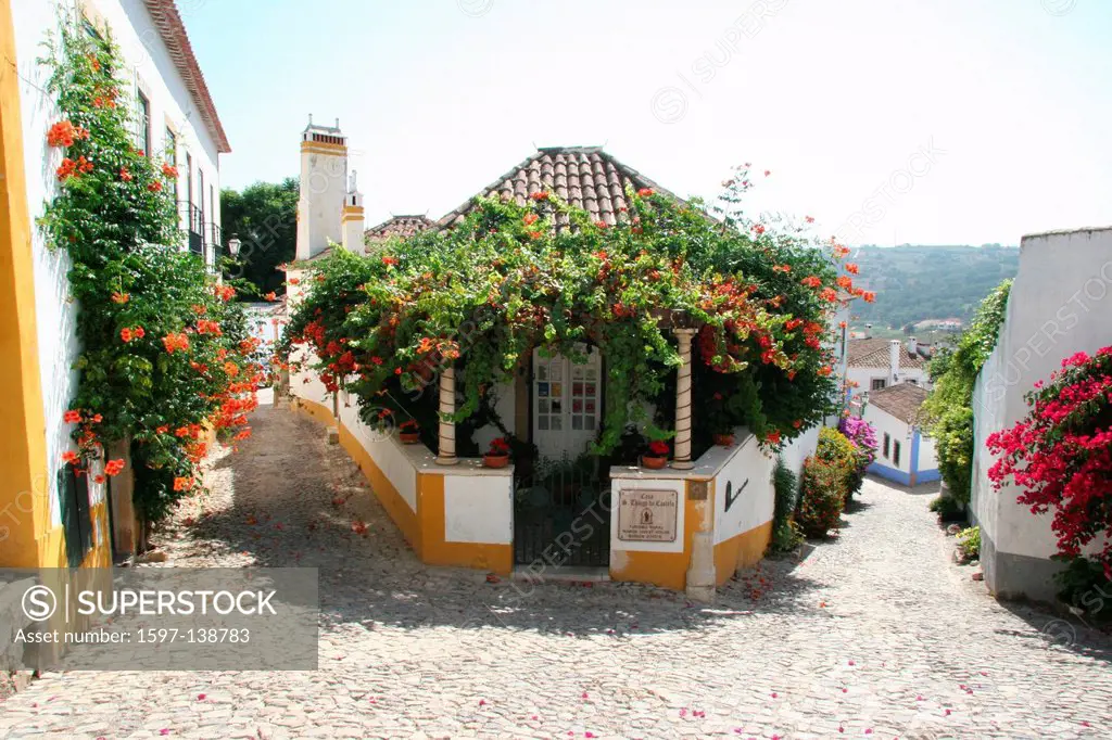 Portugal, Europe, Obidos, house, home, flowers, Guest House