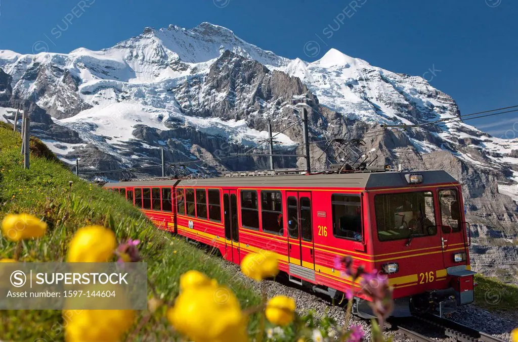 Mountain, mountains, mountain railway, canton Bern, Bernese Alps, Switzerland, Europe, Bernese Oberland, Jungfrau, Alps, flower, flowers, Jungfrau rai...