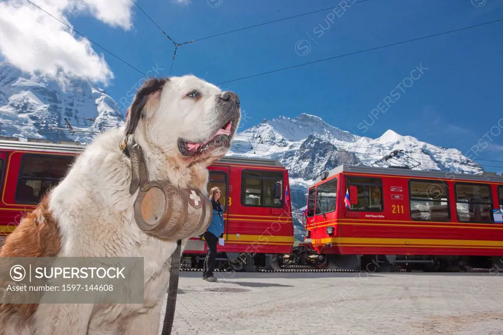 Mountain, mountains, mountain railway, canton Bern, Bernese Alps, Switzerland, Europe, Bernese Oberland, Alps, tourism, holidays, Jungfrau railroad, r...