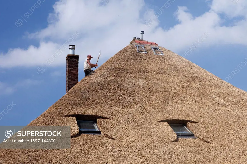 Holland, Europe, Netherlands, Texel, house, home, roof, reed roof, thatched roof