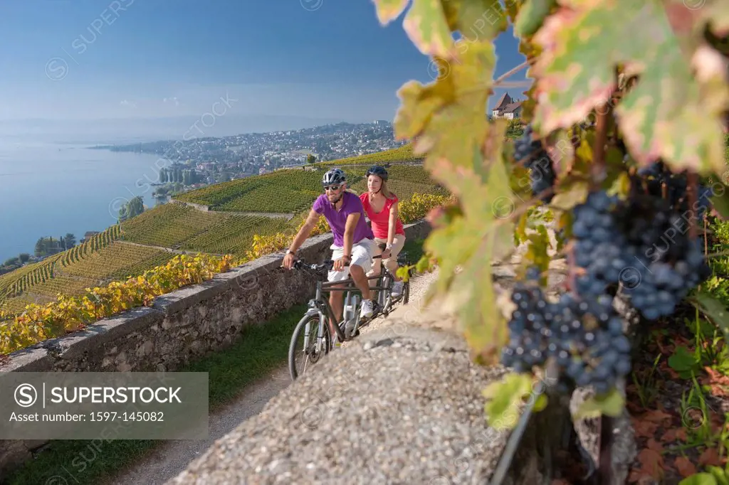Bicycle, bicycles, bike, riding a bicycle, riding a bike, bicycle, bike, canton, Vaud, Waadt, Switzerland, Europe, Western Switzerland, wine, shoots, ...