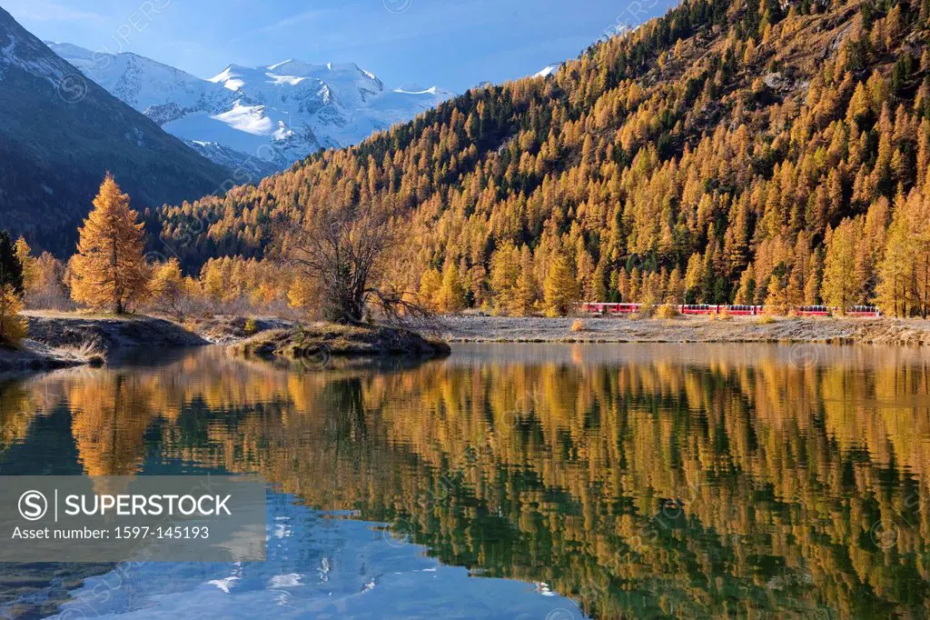Autumn, tree, trees, canton, Graubünden, Grisons, Switzerland, Europe, Piz Bernina, Piz Palü, Bernina, lake, mountain lake,
