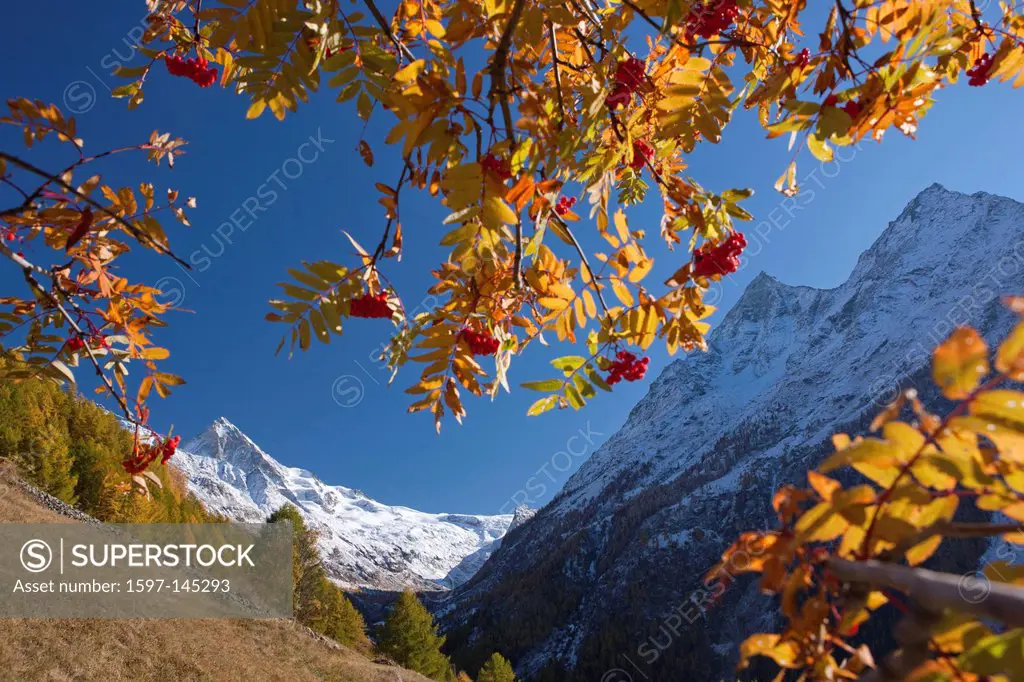 Mountain, mountains, autumn, Valais, Wallis, Switzerland, Europe, La Forclaz, Dent Blanche, Val d´Herence, Dent de Veisiv
