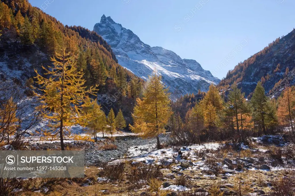 Mountain, mountains, autumn, Valais, Wallis, Besso, Val d´Anniviers, creek, brook, larches, Zinal