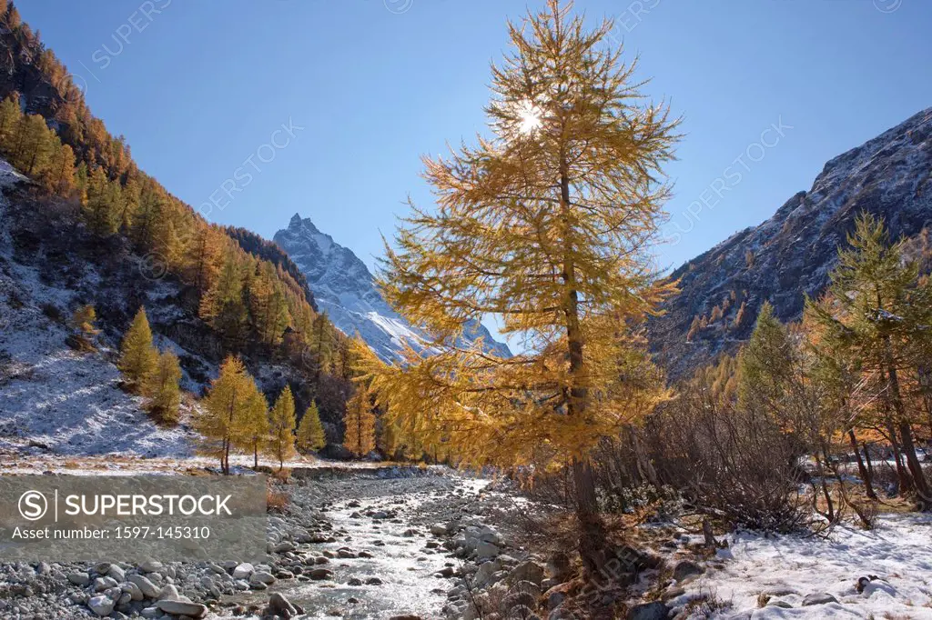 Mountain, mountains, autumn, Valais, Wallis, Besso, Val d´Anniviers, creek, brook, larches, Zinal