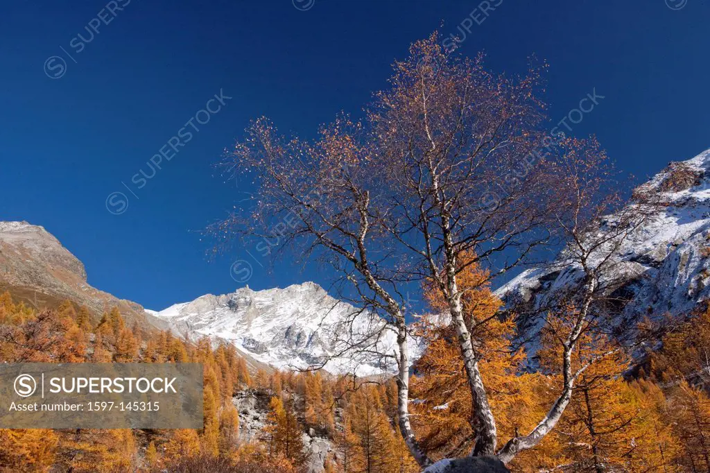 Mountain, mountains, autumn, Valais, Wallis, Besso, Val d´Anniviers, Weisshorn, larches, Zinal