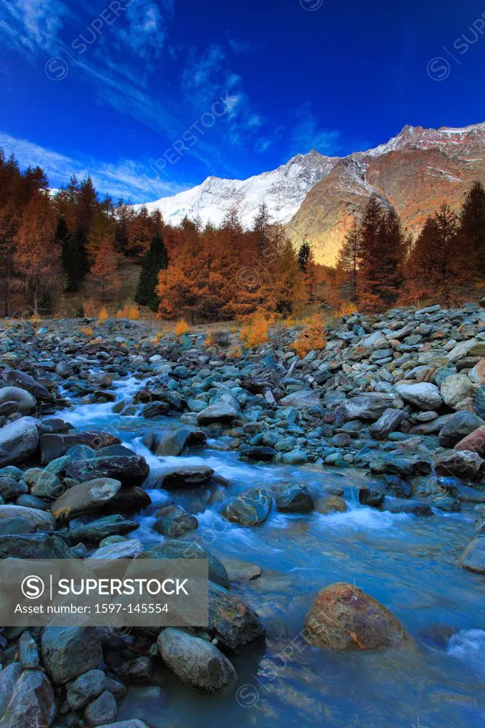 Riverbed, autumn, colors, larch, larches, larch wood, Saas Fee, valley of Saas, sunshine, valley, Valais, Switzerland, Europe, sunny