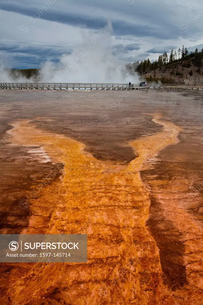 USA, United States, America, Wyoming, Yellowstone, National Park, Grand Prismatic, Spring, Water, geyser, hot, natural, park, pasture, river, smoke, s...