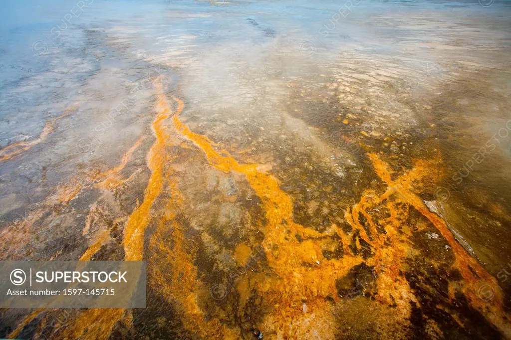 USA, United States, America, Wyoming, Yellowstone, National Park, Grand Prismatic, Spring, geyser, hot, natural, park, river, springs, stream, volcano