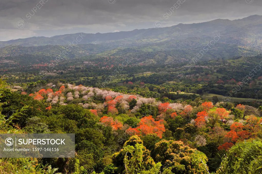 Hills, Outback, Punta Rucia, Dominican Republic, holiday, holidays, travel, travelling, tourism, vacation, Panorama, Landscape, Scenery, Outdoor, View...