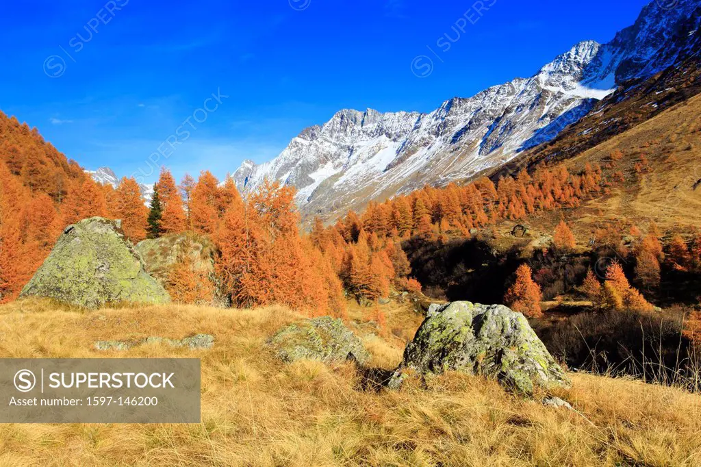 View, Lötschenlücke, Fafleralp, autumn, colors, larch, larches, larch wood, Lötschenlücke, Lötschental, sunshine, valley, Unesco, world heritage, Vala...