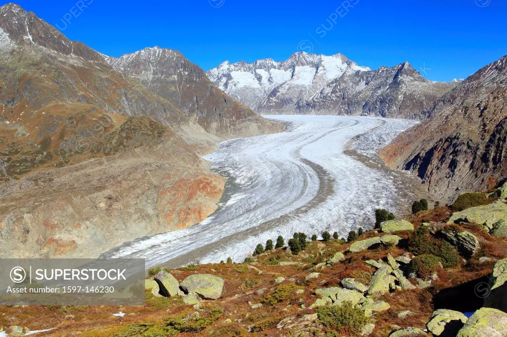 Aletsch, Aletsch glacier, Aletsch area, Aletsch glacier, mountains, Alps, stone pine, view, Aletsch wood, forest, big, great, mountains, Alps, autumn,...