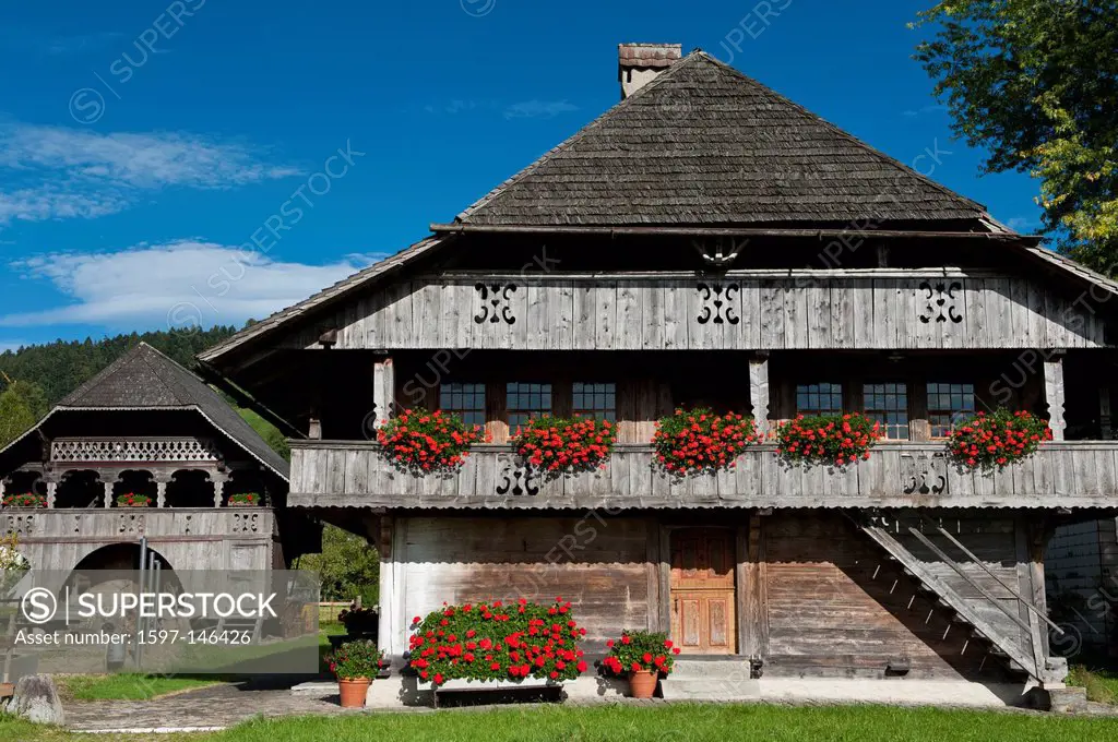 farm, farm house, Emmental, geranium, canton Bern, agriculture, farming, shingle roof, granary, Trubschachen, wooden house, framehouse, countryside,