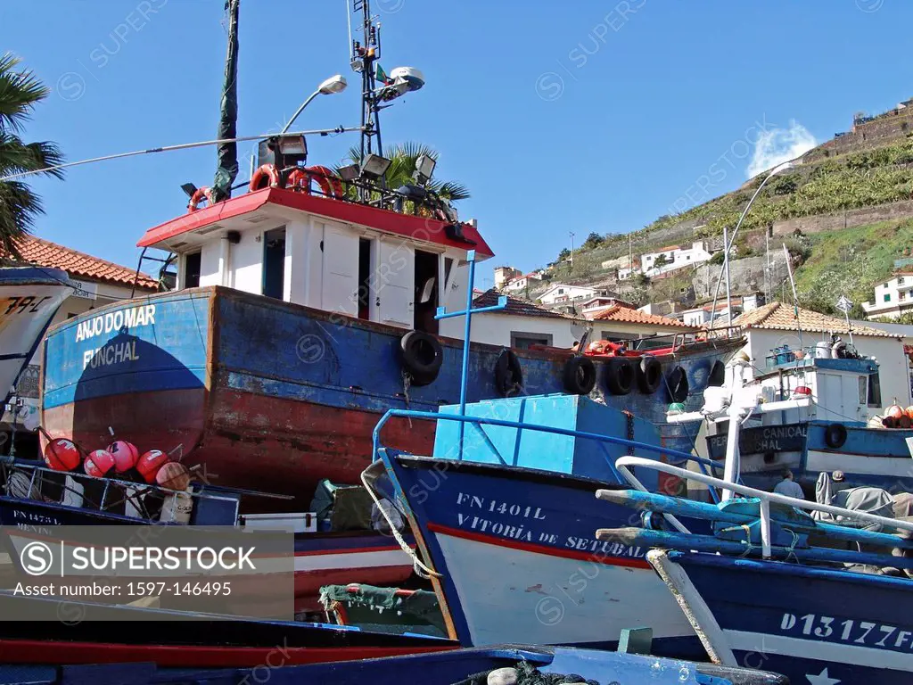 Europe, Portugal, Madeira, Camara de Lobos, fishing boats, village, trees, mountains, boats, vehicles, vessels, buildings, constructions, harbour, por...