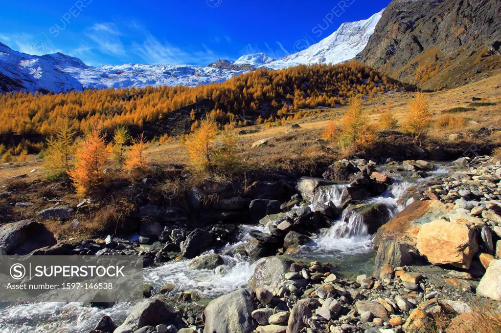 Alphubel, riverbed, autumn, colors, larch, larches, larch wood, Saas Fee, valley of Saas, sunshine, valley, Valais, Switzerland, Europe, sunny