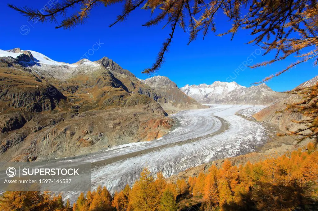 Aletsch, Aletsch glacier, Aletsch area, Aletsch glacier, mountains, Alps, view, Aletsch wood, forest, big, great, mountains, Alps, autumn, colors, lar...