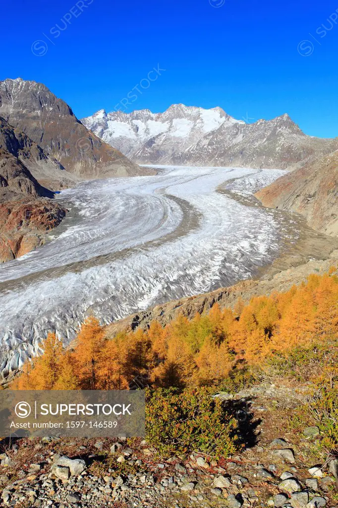 Aletsch, Aletsch glacier, Aletsch area, Aletsch glacier, mountains, Alps, view, Aletsch wood, forest, big, great, mountains, Alps, autumn, colors, lar...