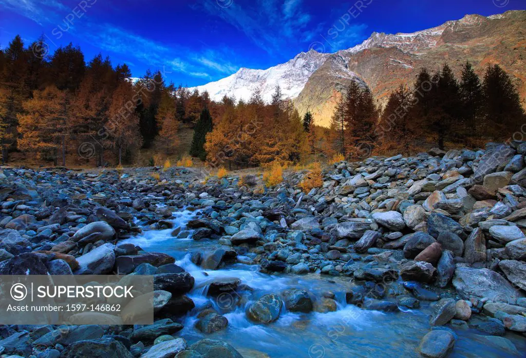 Riverbed, autumn, colors, larch, larches, larch wood, Saas Fee, valley of Saas, sunshine, valley, Valais, Switzerland, Europe, sunny