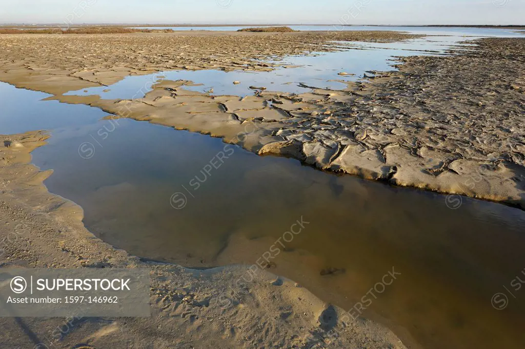 Brackish water lagoon, mud, Etang du Grand Rascaillon, Camargue, Department, Bouche_du_Rhône, France