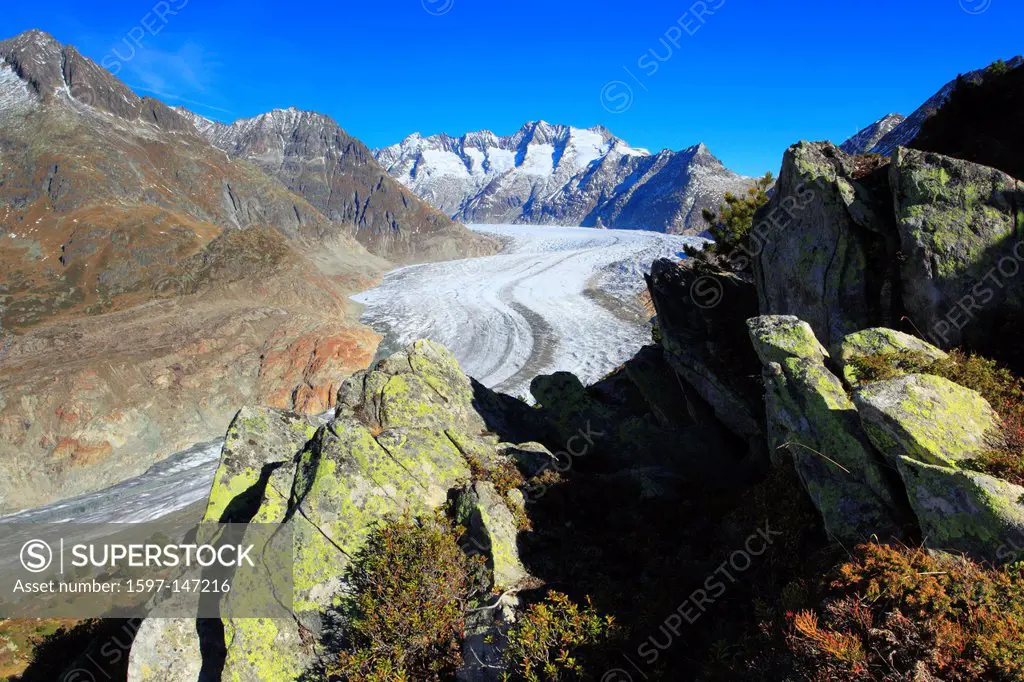 Aletsch, Aletsch glacier, Aletsch area, Aletsch glacier, mountains, Alps, view, Aletsch wood, forest, big, great, mountains, Alps, autumn, colors, Une...
