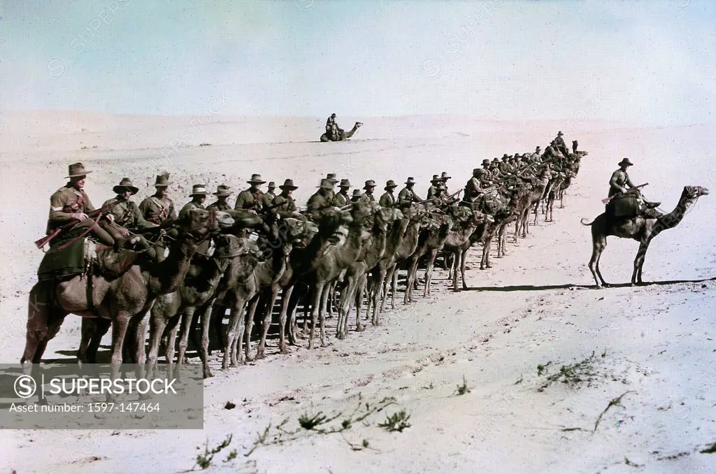 Australian, Imperial, Camel Corps, Rafa, Ottoman Empire, Middle East, World War I, War, World War, Europe, 1914_1918, Egypt, 1918, desert, camels