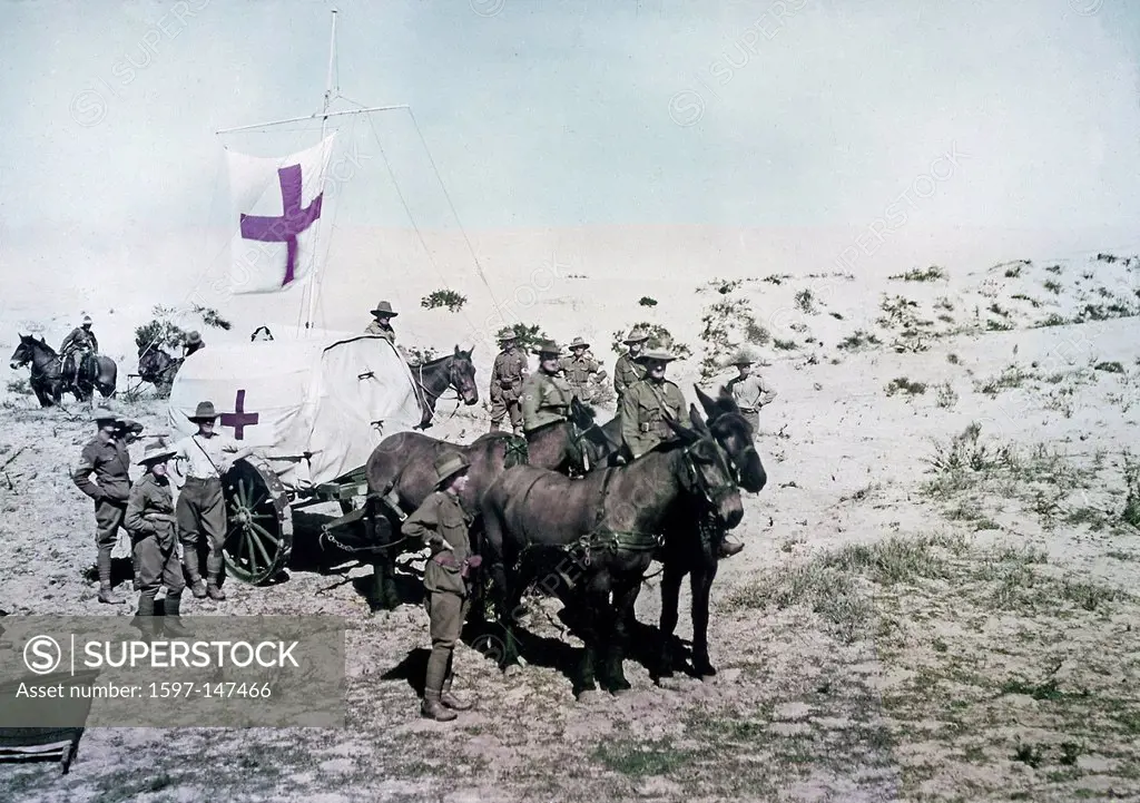 Australian, Light Horse Brigade, Field Ambulance, wagon, Ottoman Empire, Middle East, World War I, War, World War, 1914_1918, Palestine, 1918, Red Cro...